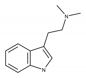 3000-DMT