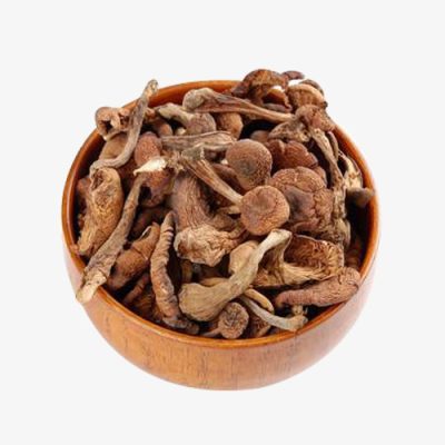 Buy magic mushrooms online